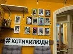 Фотография из отзыва