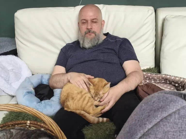 Интерьер котокафе