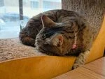 Фотография из отзыва