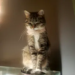 Настенька