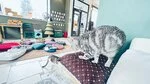 Фотография из отзыва