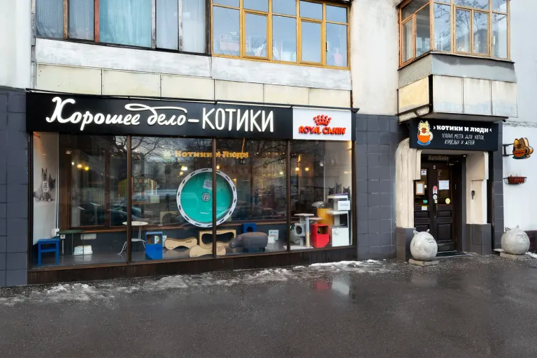 Интерьер котокафе на Проспекте Мира