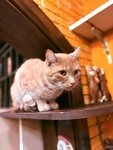Фотография из отзыва