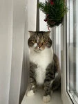 Фотография из отзыва