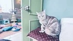 Фотография из отзыва