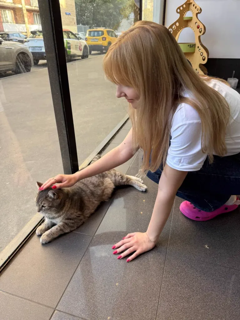 Интерьер котокафе