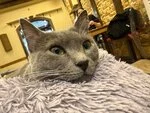 Фотография из отзыва