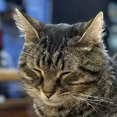 Перчик
