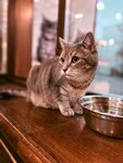 Фотография из отзыва