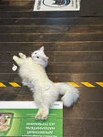 Фотография из отзыва