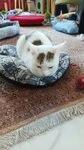 Фотография из отзыва