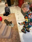 Фотография из отзыва