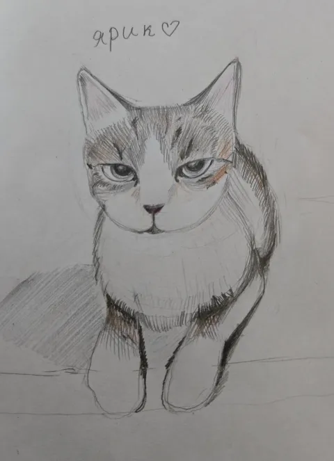 Рисунок Елизавета, 13 лет