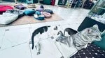 Фотография из отзыва