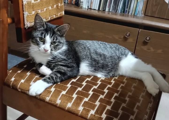 Джинни — фото 7