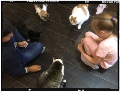 Кофе и чай в котокафе
